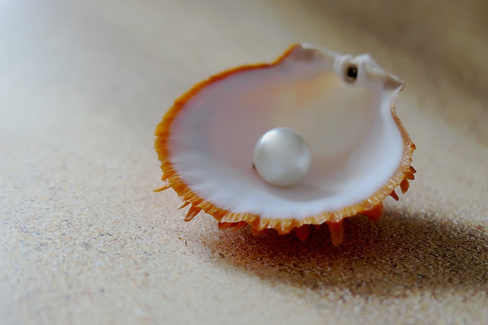 真珠と貝